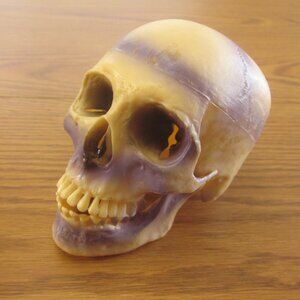 Vintage Halloween Skull 1970s